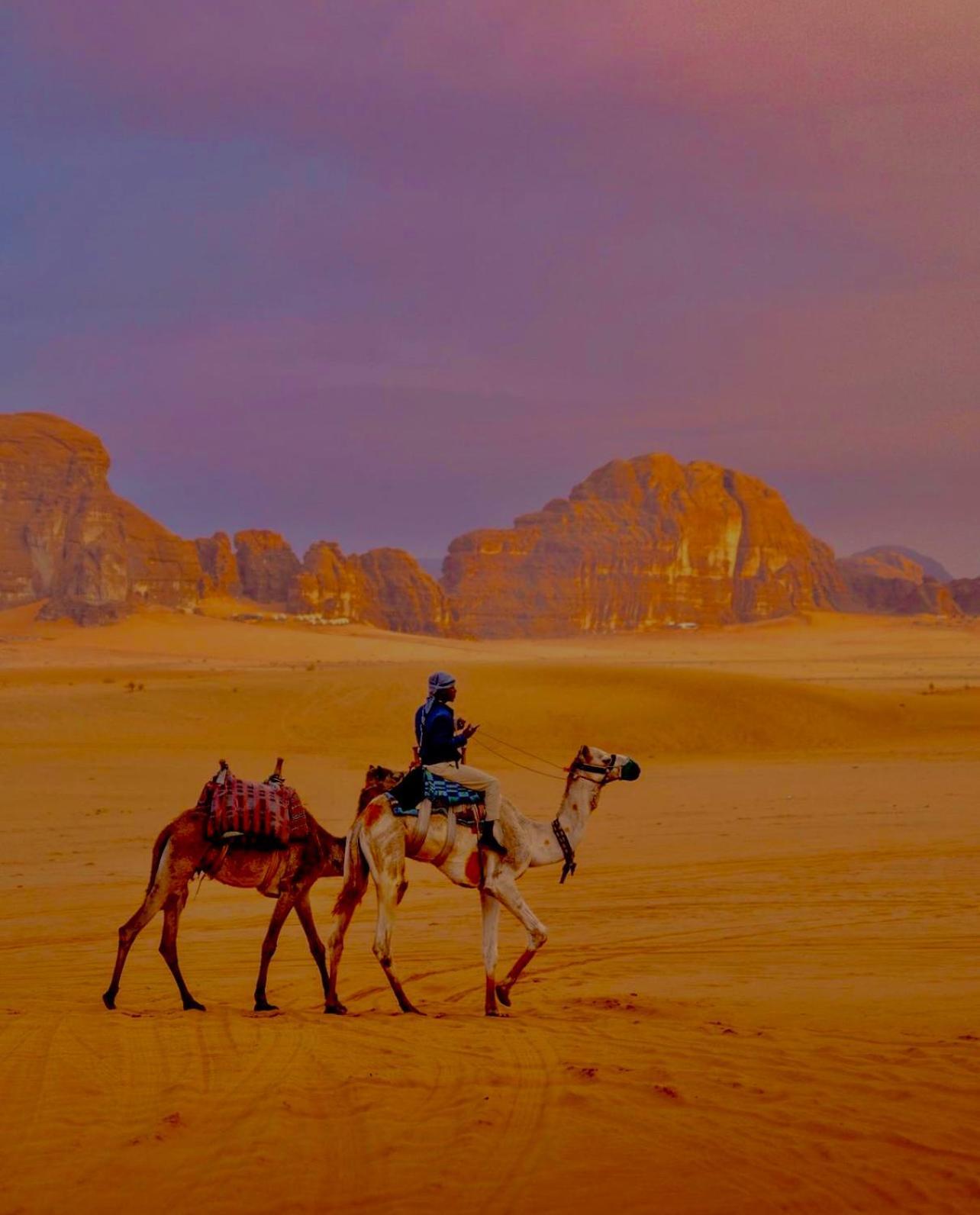 Wadi Rum Meteorite Camp Eksteriør billede